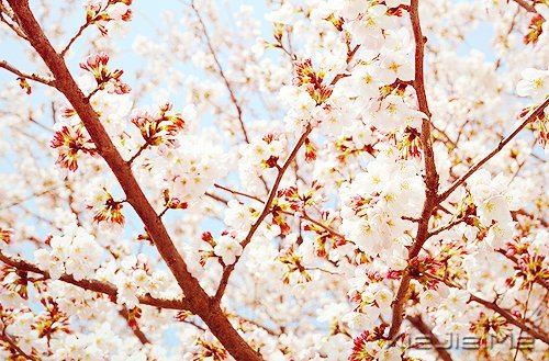 经典语录:50条超美的句子 (4)