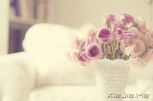 ���������ɰܵ�12������