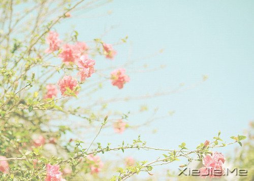 林清玄:人间有味是清欢