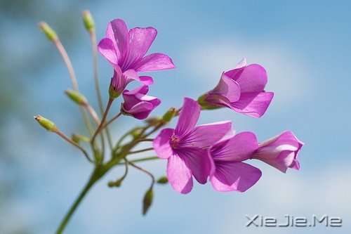 张小娴:有多少人能坚持自己的原则