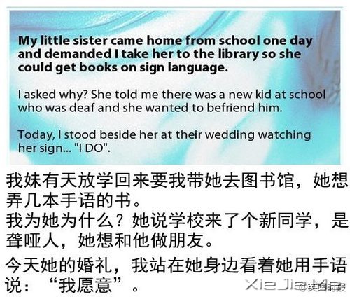 给我希望,15个温暖的小故事 (6)