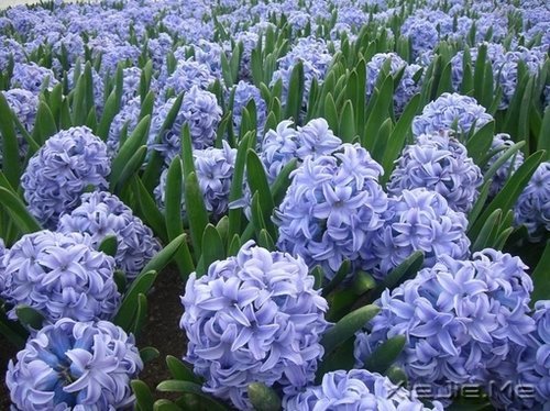 经典语录:输什么也不能输了心情 (11)