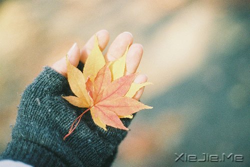 ���֣��������������������������Ψһ������