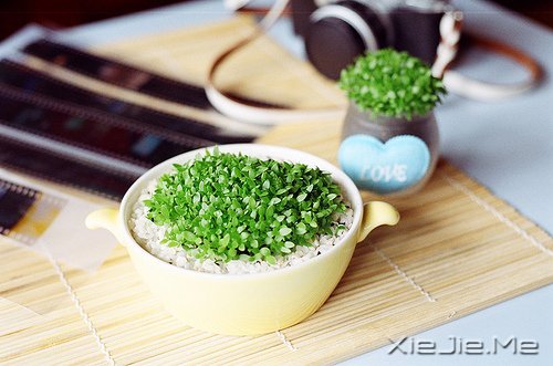 文字:长到40岁学到的41件事