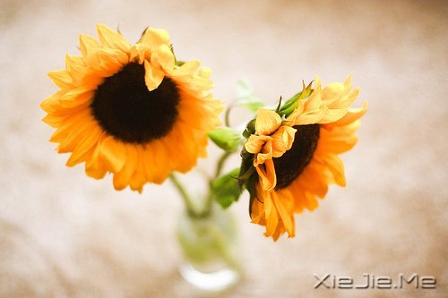 30~35岁,为你的生命多积累一些厚度