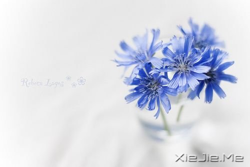 一种深久的不安(文/乔叶)