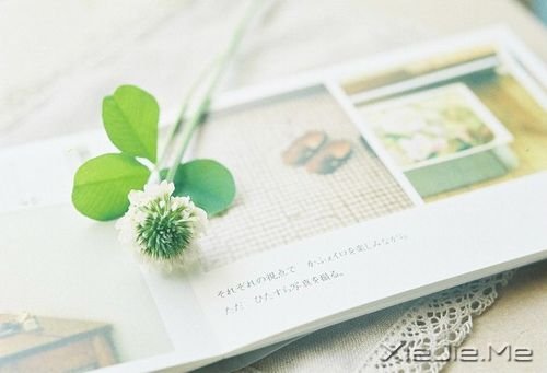 ���֣�������ů��С����