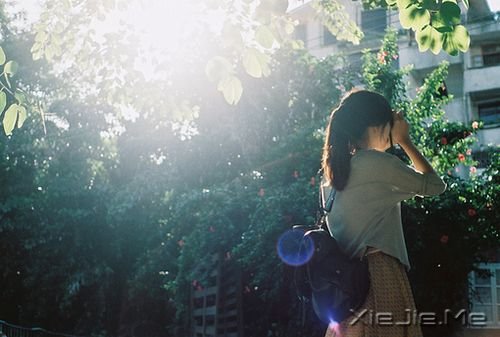 你又何必假装坚强 (1)