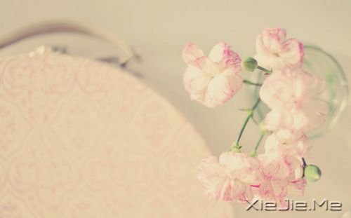 ΢Ц����ů���� (2)