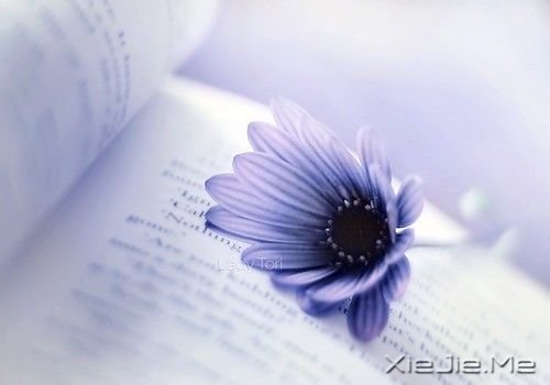 ����ʱ��Ӧ�ö��õĵ���